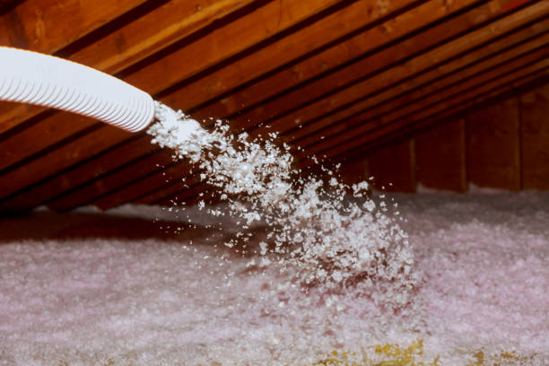 Best Attic Insulation Installation  in Hometown, PA