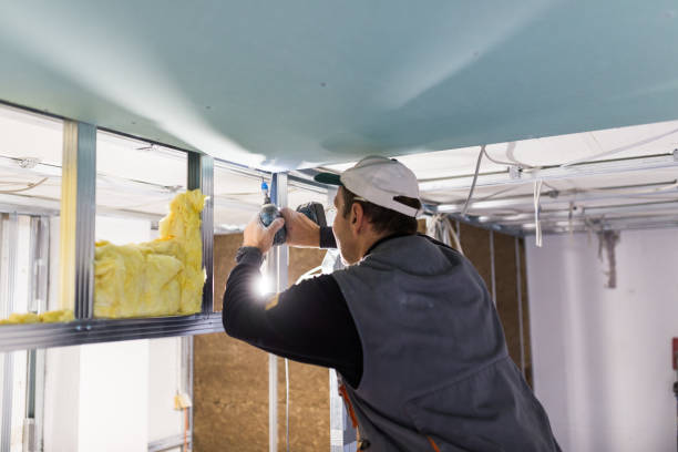 Eco-Friendly or Green Insulation Solutions in Hometown, PA